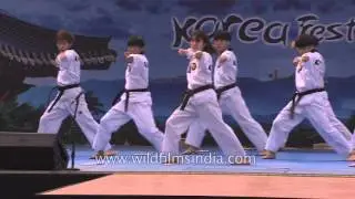 K Tigers - Taekwondo performance from Korea