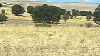 arapkır esikli uctepe mezrası