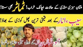 Multan sabzi mandi k halaat Achanak kharab! Tamato b sasta! ||@kharramunda 