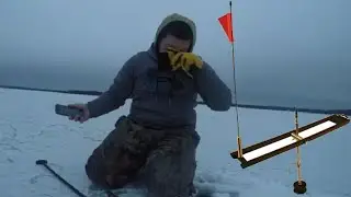 Где все окуни на озере Гранд-Лейк? Кто что оставил?!