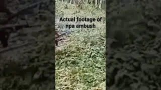 NPA AMBUSH