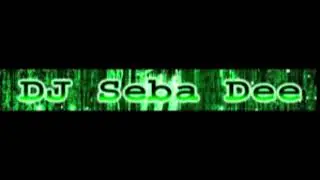 Dj Seba Dee & AI - Moja (Remix 2026 cover)