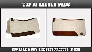 Top 10 Saddle Pads to buy in USA 2021 | Price & Review