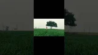 village life is not as people glorify it ❤🙌 #trending #shortvideo