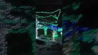 Calgary Zoolight Adventure