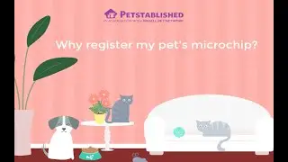 Registering My Adopted Pet's Microchip
