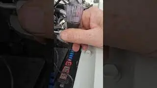 Check blown fuse with test light #12volt #fuse #elect #automotive #bladefuse #automobile