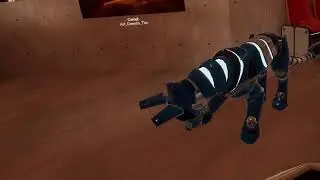 VRChat 2024 Furality Dealer's Den - Avatar Base