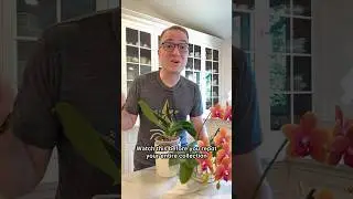 Thinking of switching your orchid potting mix? Watch this before you go repot your whole collection.