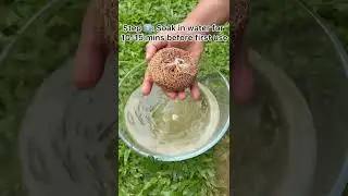 The Natural Way to Refresh  | Kerala Naturals Ramacham (Vetiver) Bath Scrubber