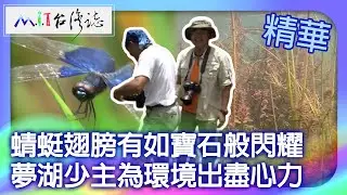 蜻蜓翅膀有如寶石般閃耀　夢湖少主為環境出盡心力｜新北市汐止區 麥覺明【 ‪‪‪‪ ‪‪‪‪‪‪‪‪‪‪‪‪‪‪‪‪‪‪‪‪‪‪‪‪‪‪‪‪ ‪@ctvmit  633集】