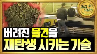 [기술자들] 환경을 생각한 기술 💫  / YTN 사이언스