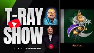 Pakistan Princess Bee | Crypto News | Defi Project to watch