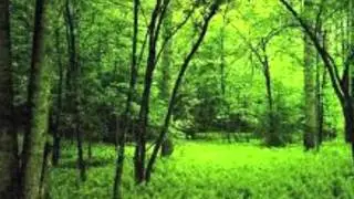 MOZART- GREENSLEEVES
