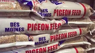 Des Moines Feed - Company Story