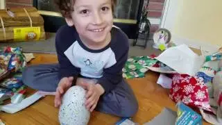 Hatchimals - hatching the draggle on Christmas morning