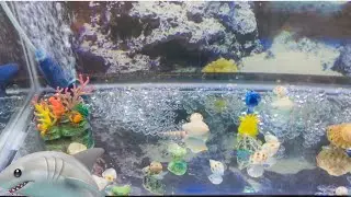 Toy Sea Animal Names and Facts | Sea Animals | Sea creatures | Fish, Eel, Turtle |