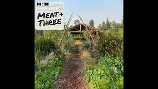 Yesterday's Flavors, Tomorrow's Table: Preserving Culinary Heritage