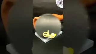 ear model anatomy//मानव कर्ण//shorts//MK study21