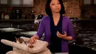Kitten Proofing Your Home