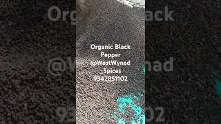 Organic Black pepper from Wayanad.#wholesale #Retail 9342851102