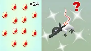 Hatching 24&times; 12km Eggs For New Shiny Debut Pok&eacute;mon 