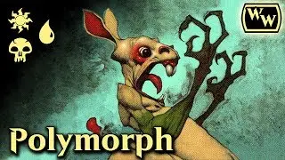 Wacky Wednesday - Modern - Polymorph