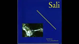 Paul Schwarz Featuring Bernd Konrad - Sali (Full Album)