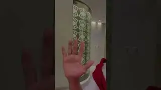 thedaqlet