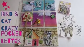 Crazy Cats & Mini Bird Crazy Pocket Letter | I'm A Cool Mom