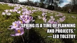 first day of spring - first day of spring 2017