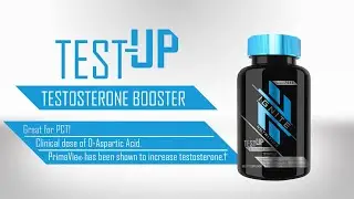 Test-Up 🔼 Testosterone Booster - Ignite Nutrition