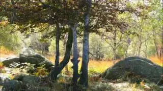 Dominique Starck: Open your Heart Chakra with Chanting