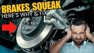 If Your Brakes Squeal at Low Speed, THIS Is Why! & I'll Show You HOW TO FIX It Too