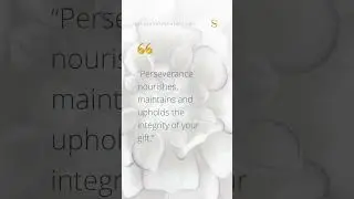The virtues of perseverance | Seed Gallery #quotes #gift #focus #knowledge #inspiration #purpose