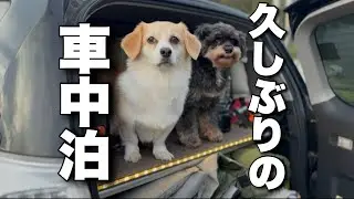 久しぶりに峠で車中泊してきました。