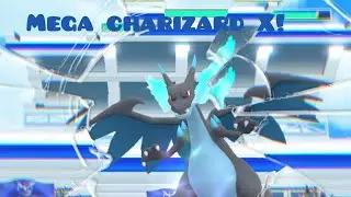 Mega Charizard X raid duo.