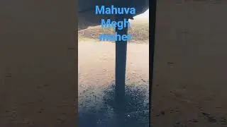 mahuva vaghnagar