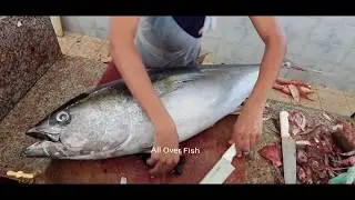 Deep Water Tuna Fish Cutting By Small Japanese Knife। 20 KG/$200 Giant Tuna Fish Cutting Market