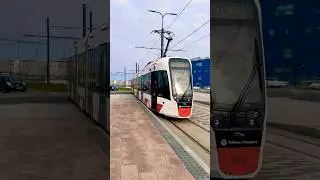 Уникальный и развлекательный звук Таллиннского трамвая 🚊 КОРОТКО #шорты #тренд #короткоевидео #ви...