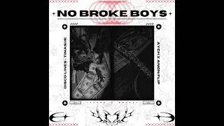 Disco Lines & Tinashe - No Broke Boys (AYCH X ANON FLIP)