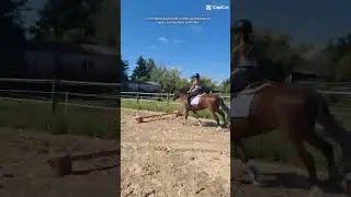 J'ai bien d'autres priorit&eacute;s que de faire vos exercices ou jsp quoi #cavaliers #horse #equestrian