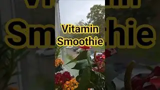 #Healthy Vitamin Smoothie#easyrecipe#health#vitaminsmoothie #chiaseedsmoothie