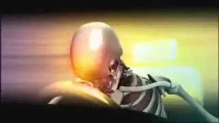 Understanding Car Crashes_ When Physics Meets Biology.flv