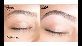 Perfect Natural Brows By Tory-Lynn Williams ll Kelley Baker Brows