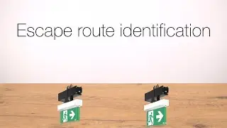 A few simple steps: Escape route identification | LINEDO | Continuous line luminaire system