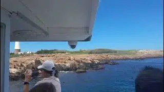 ISLA DE LOBOS. CERCA DE PUNTA DEL ESTE. MALDONADO. URUGUAY. 88.🇺🇾