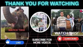 19th Elephant Penalty