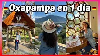 OXAPAMPA: Esto es todo lo que puedes hacer este 2024 con poco presupuesto