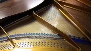 Hamilton Piano Company, 2004  Bluthner grand piano